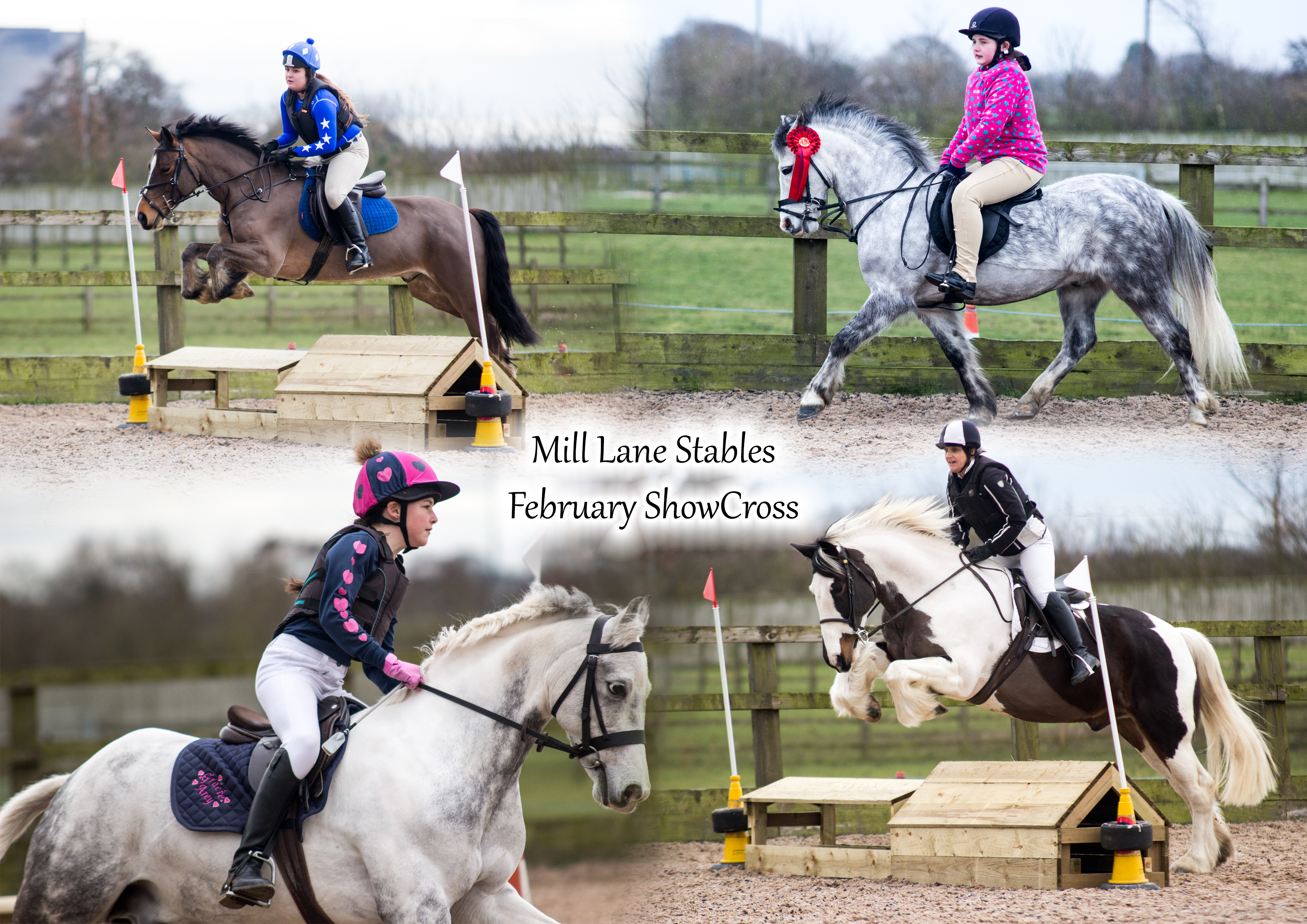 Mill Lane February ShowCross