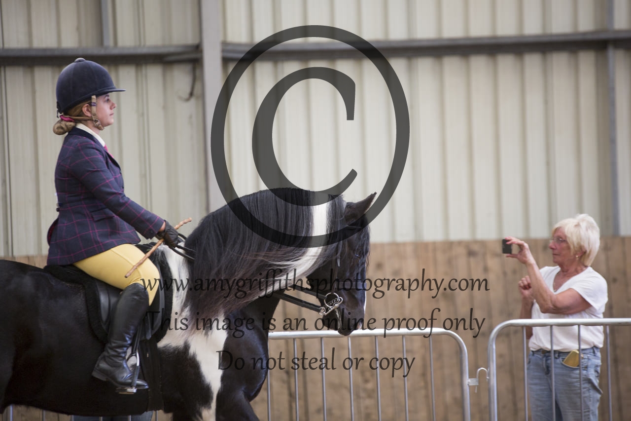 Class 10: CHAPS (UK) Novice Ridden Horse Qualifier