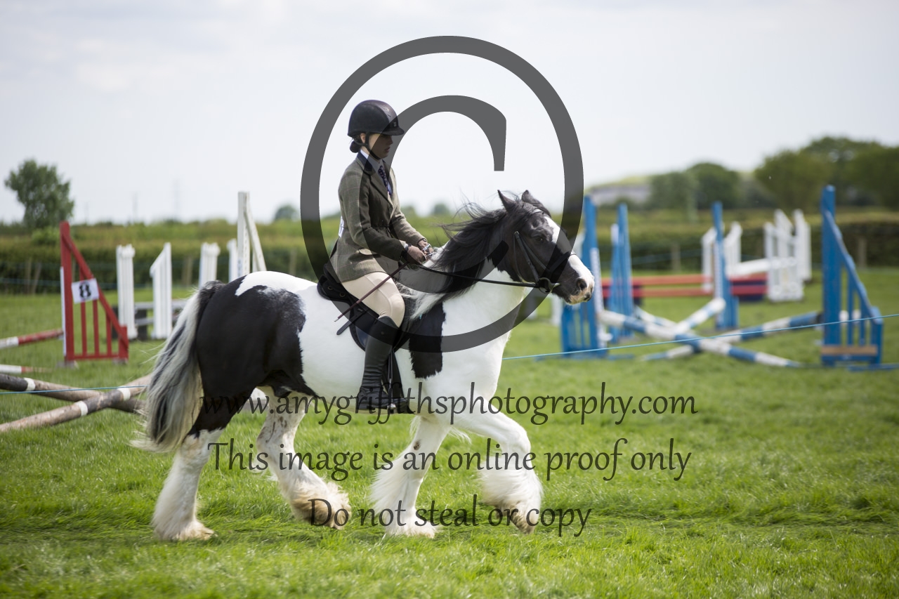 Class 18: Working Hunter Pony not Exceeding 13hh