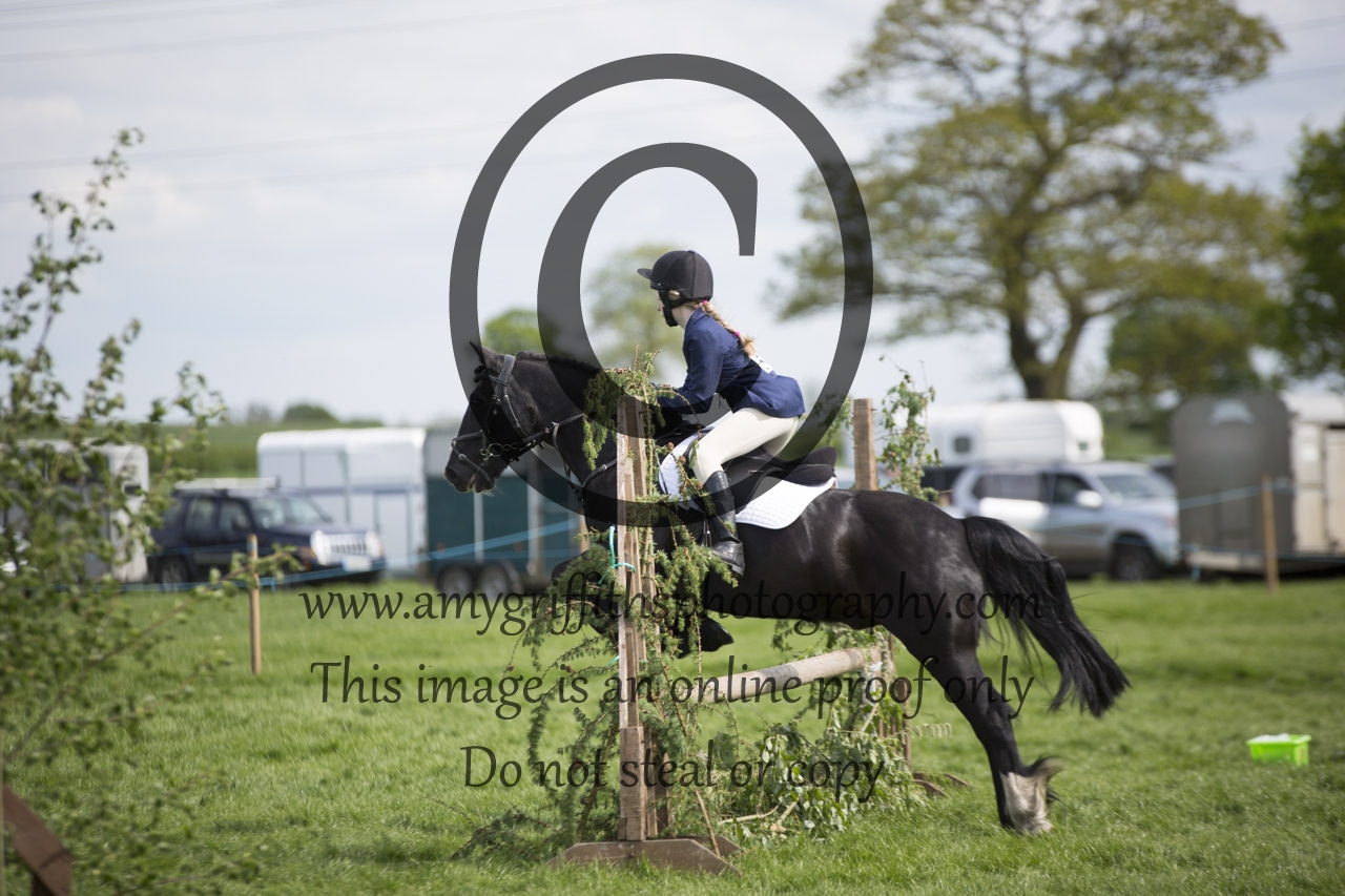 Class 19: Working Hunter Pony not Exceeding 15hh