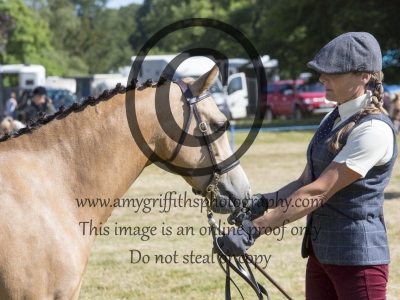 Class 35: Show Hunter Pony 2/3 Year Old
