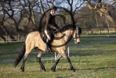 Class 20 – UK Ponies & Horses Intermediate M&M