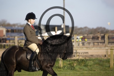 Class 21 – UK Ponies & Horses Junior M&M Large Breeds
