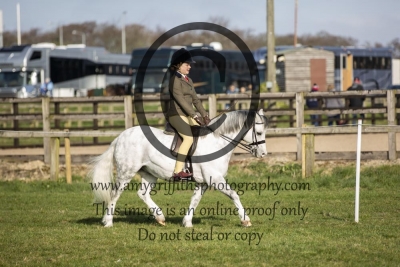 Class 22 – UK Ponies & Horses Junior M&M Small Breeds
