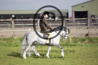 Class 23 – UK Ponies & Horses Amateur Ridden M&M