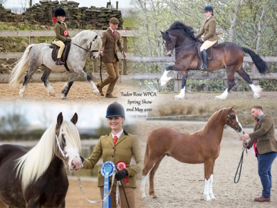 Tudor Rose WPCA Spring Show – 2nd May 2021