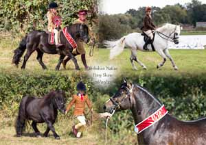 Yorkshire Native Pony Show – 26.09.2021