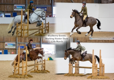 Blueberry Working Hunter Show – 12th March