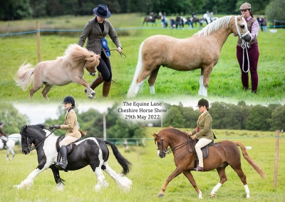 The Equine Lane Cheshire Horse Show – 29th May